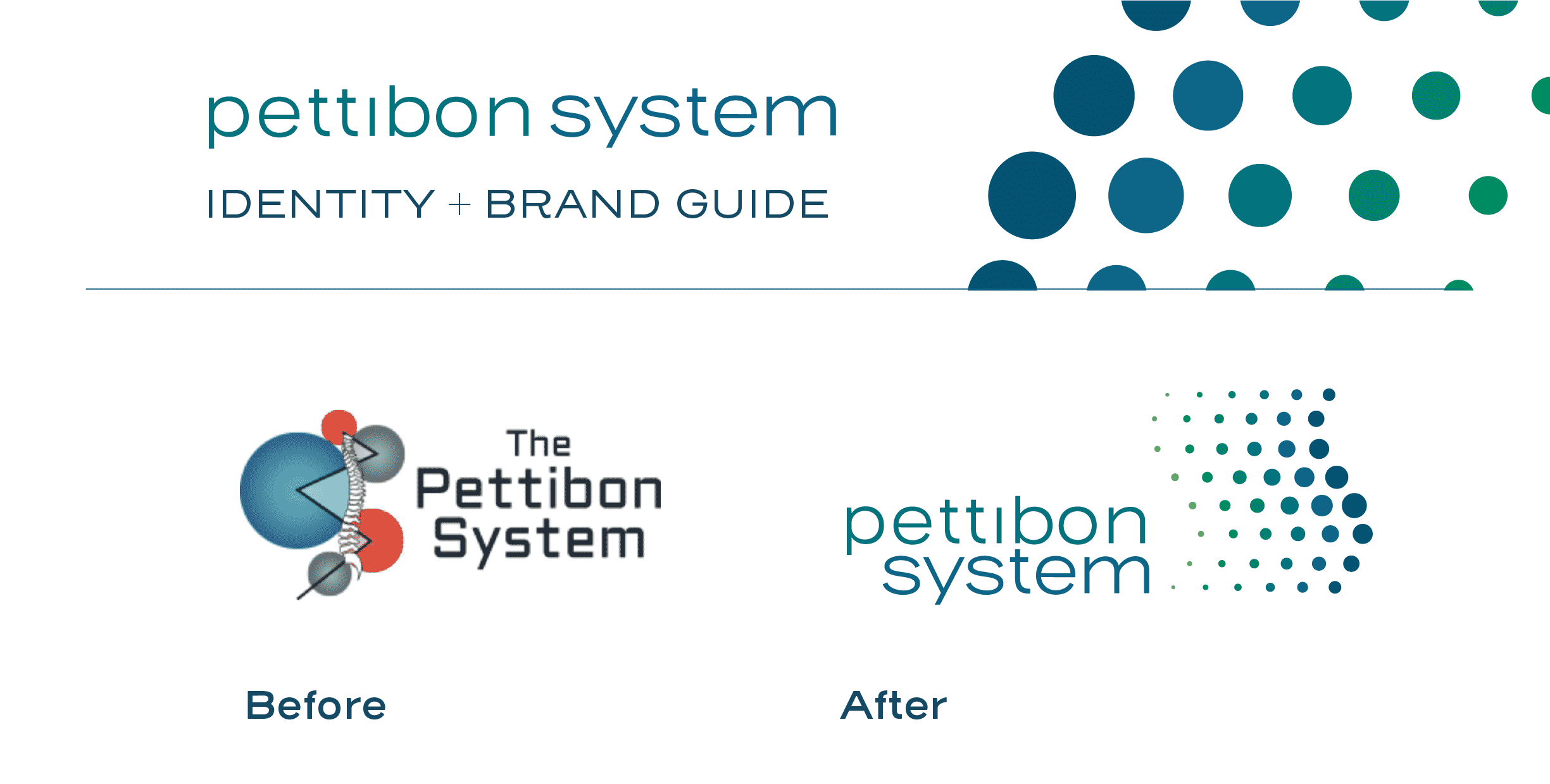 Pettibon Systems Identity and Brand Guide Work Study