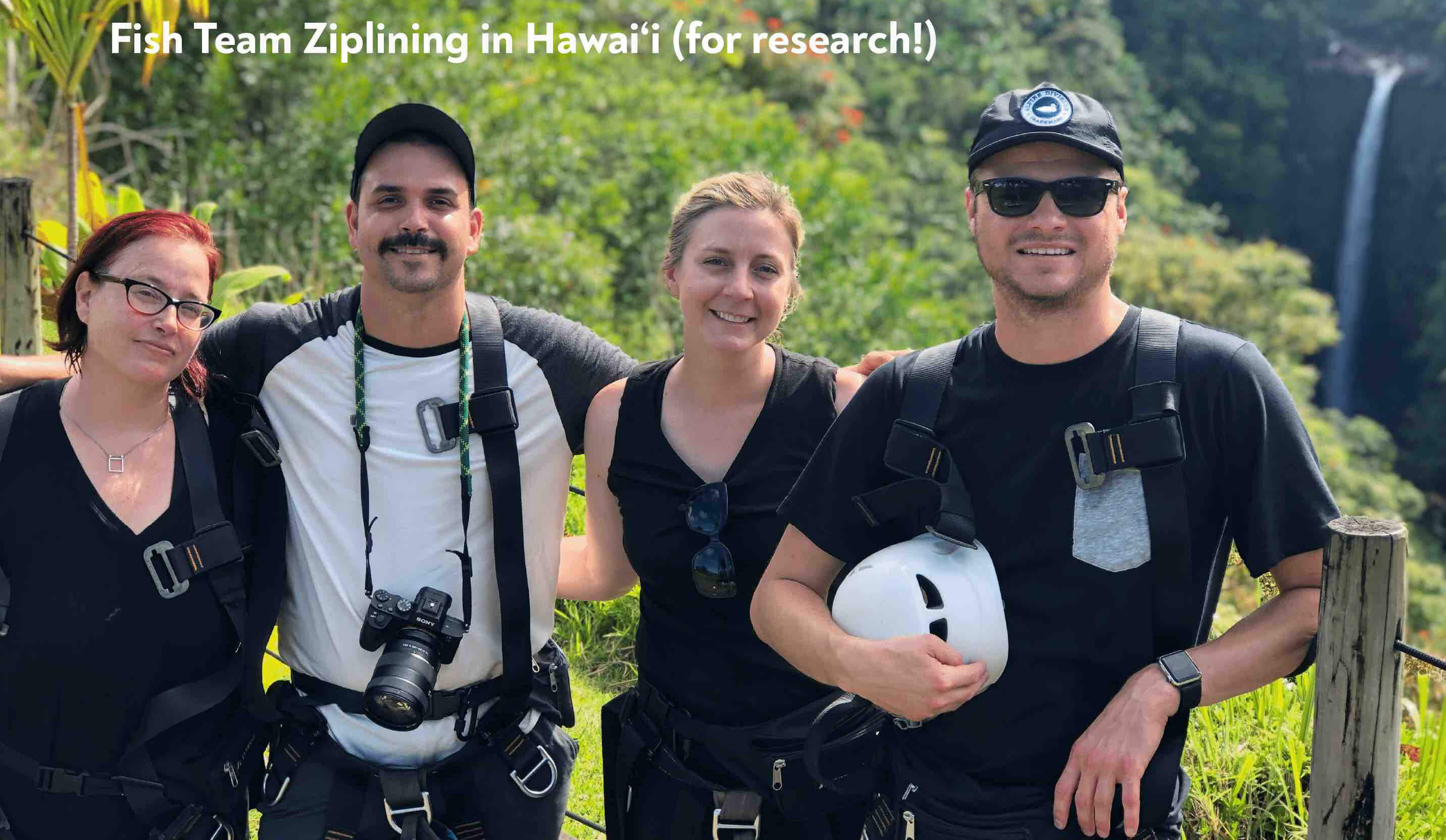 Skyline Hawaii zipline research