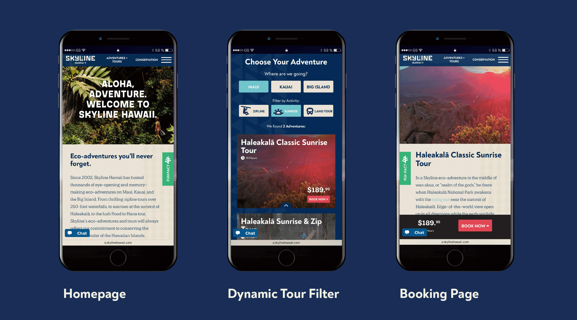 Skyline Hawaii website development mobile view with dynamic tour filter and booking page